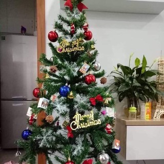 Cây thông noel 1m5 cao cấp hàng đẹp 2021 kèm phụ kiện chân sắt chắc chắn
