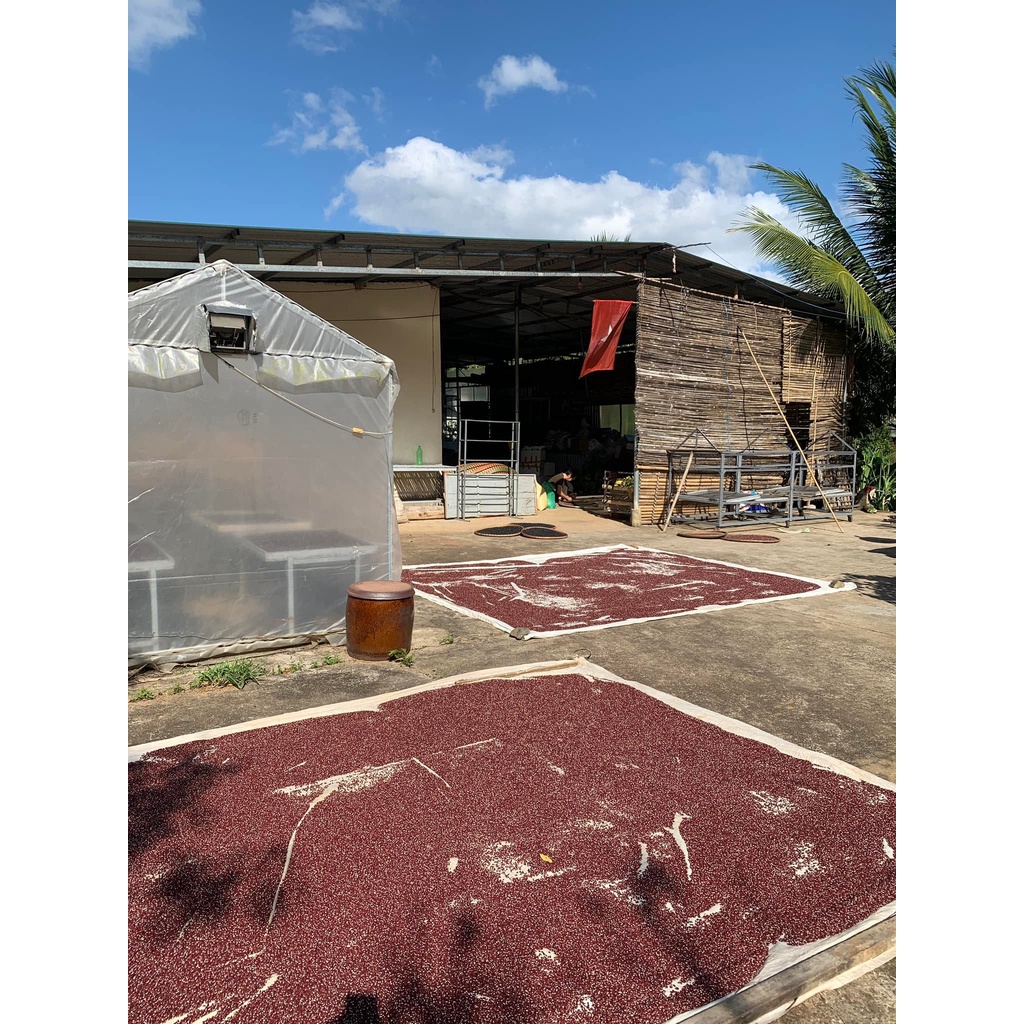 Xích tiểu đậu An Hòa Farm thuộc miền núi Khánh Sơn gói 1000gram