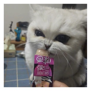 Súp thưởng Mixi cho boss cưng