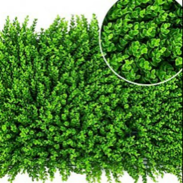 Thảm cỏ nhân tạo - vỉ cỏ kích thước 40x60cm