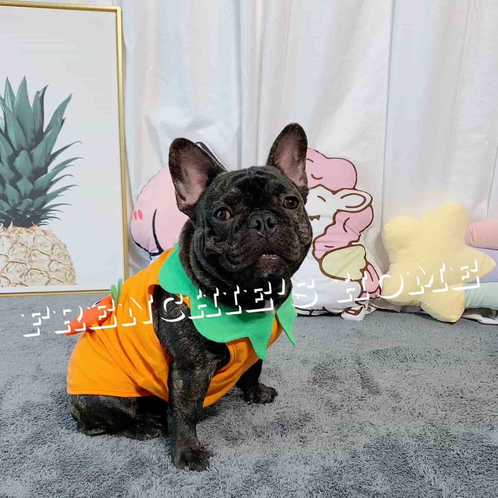 ÁO SÁT NÁCH 3 LỖ "TRÁI 🥕CÀ RỐT🥕 - 🍉DƯA HẤU🍉- 🥑BƠ🥑" CHO CHÓ BULL/PUG ( FRENCHIE'S SHIRT )