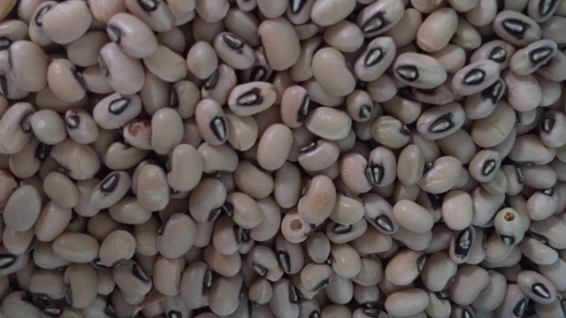 Ngũ cốc nhà làm