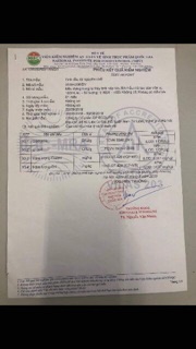 Tinh dầu tỏi cầu bình an