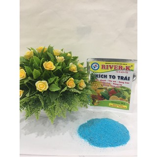 Kích To Trái River K 20g