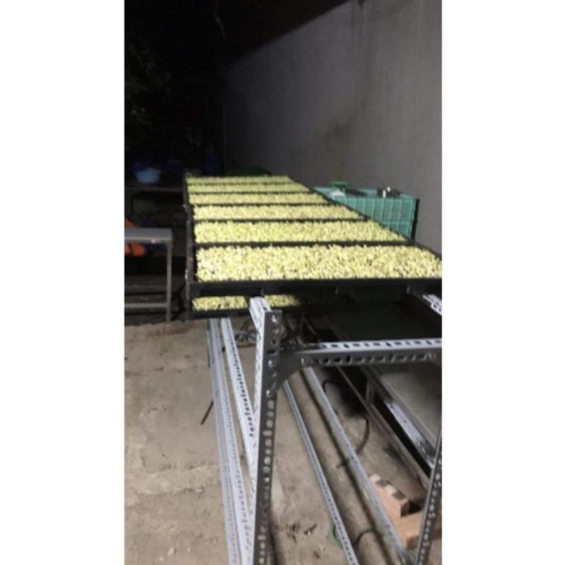 KHAY NHỰA ĐEN TRỒNG RAU MẦM RAU SẠCH,GIÁ RẺ ,NHỰA DẺO ,CỨNG CÁP