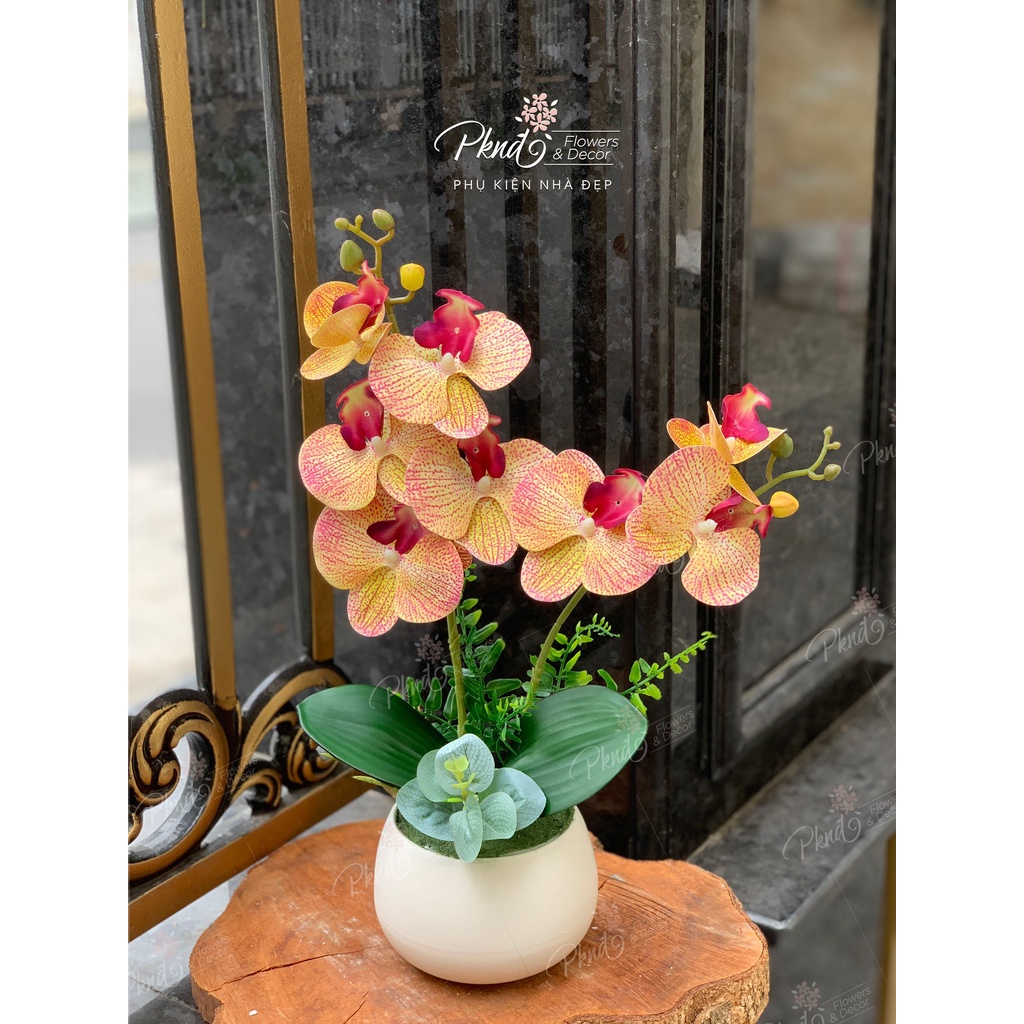 [Mã BMBAU50 giảm 7% đơn 99K] Chậu hoa giả lan cao su hai nhánh trang trí đẹp PKND FLOWERS &amp; DECOR