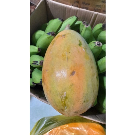 Đu đủ hầm và chín có 2 loại (1kg  trái _1kg 2