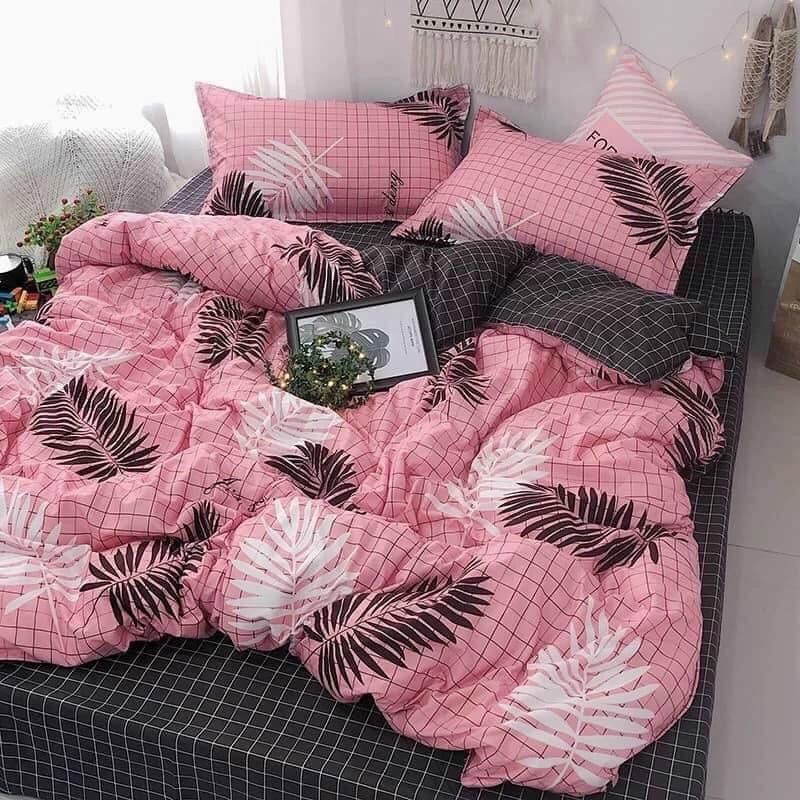 Set Cotton Poly nhập 4 món SIÊU RẺ