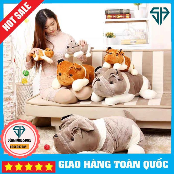 (FREESHIP - Xả Hàng) Gấu Bông Chó Mặt Nhăn Dễ Thương Size 35 Cm