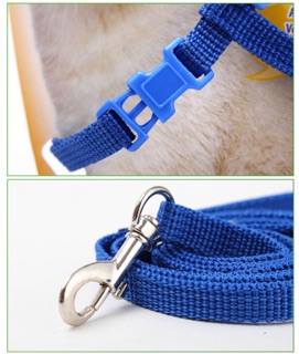 Dây xích mèo - dây đeo ngực