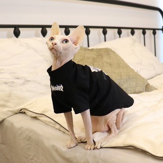 quần áo nhân sư mèo không lông mùa thu và đông mát mẻ len đen punk thuần cotton ấm áp