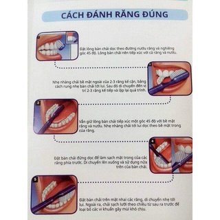 KEM ĐÁNH RĂNG 3M CLINPRO™ TOOTH CREME  _ TPDENT