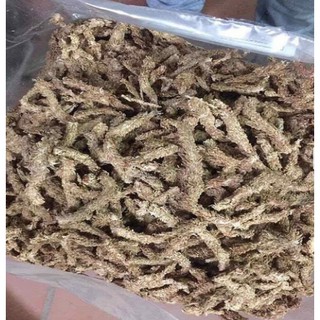 100g Rêu sâu Chile trồng lan - 100g rêu sâu
