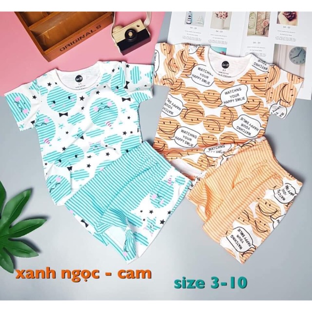 Set bộ cam