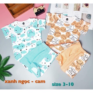Set bộ cam