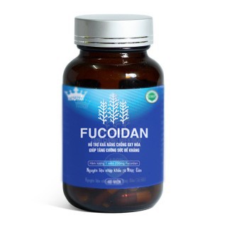 FUCOIDAN KINGPHAR - Nguyên liệu nhập khẩu Nhật Bản  - Tăng cường sức để kháng,  hỗ trợ người bệnh ung thư