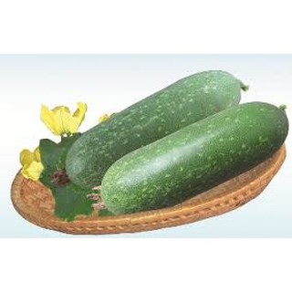 HẠT GIỐNG BÍ ĐAO XANH CAO SẢN