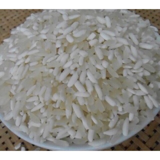 Gạp nếp nương Điện Biên