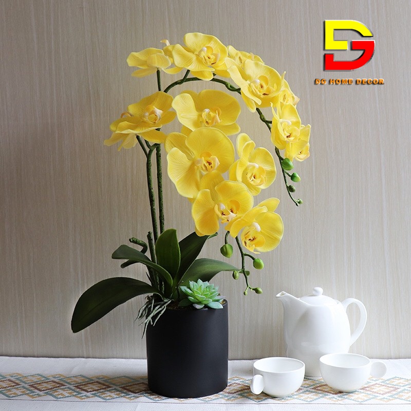 Bình Hoa Để Bàn Hoa Lan Hồ Điệp Cao Cấp Điểm Sen Đá Độc Đáo Sang Trọng DG-62