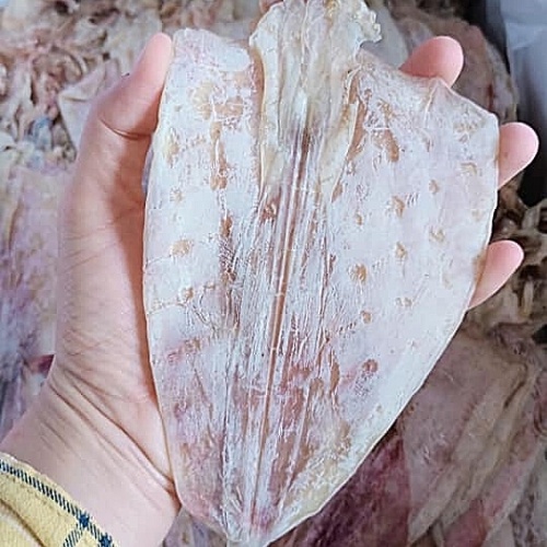 Mực Khô Câu Nha Trang size 29-33  Khô Mực Ngon Loại 1 Cá Mực Khô Ngon Ngọt Mềm | BigBuy360 - bigbuy360.vn