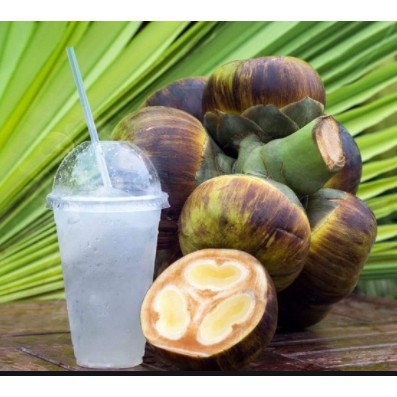 Đường thốt nốt PALMANIA ⚡️𝐅𝐑𝐄𝐄 𝐒𝐇𝐈𝐏⚡️ Hũ thủy tinh vệ sinh, sang trọng, 100% nguyên chất | BigBuy360 - bigbuy360.vn