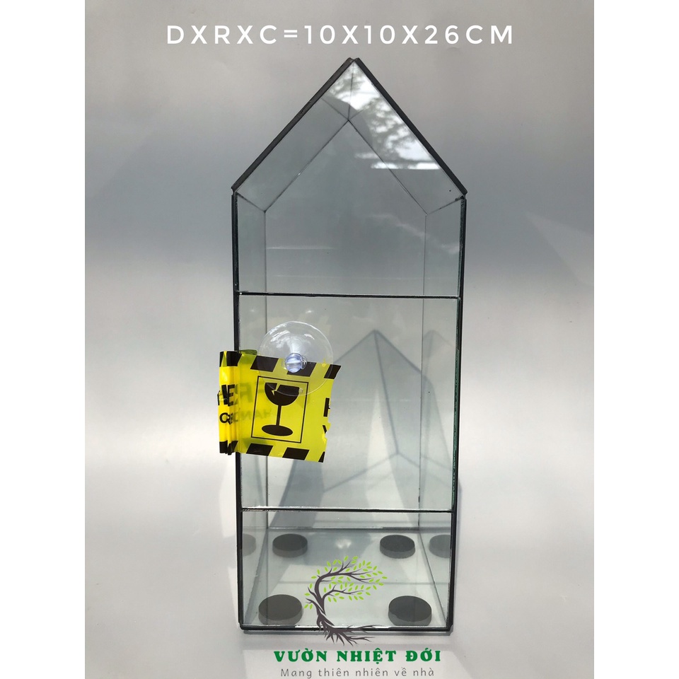 Bể Terrarium Đa Giác(rỗng) Mã D25 set terrarium bán cạn
