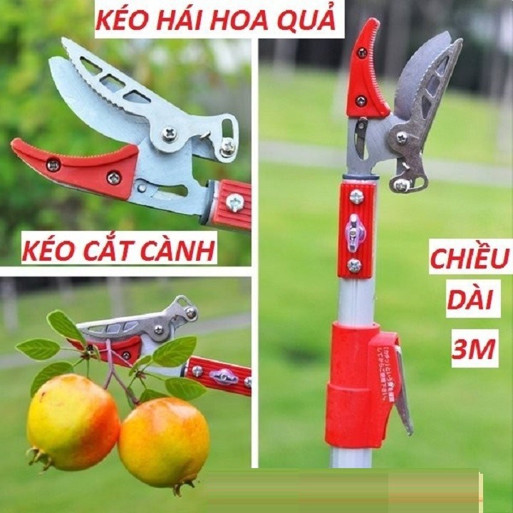 kéo cắt tỉa cành cây trên cao ,kéo hái hoa quả-3m - anh999