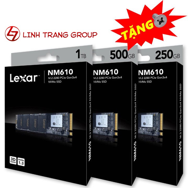 Ổ cứng SSD M.2 PCIe NVMe Lexar NM600 960GB 480GB 240GB - bảo hành 3 năm SD65