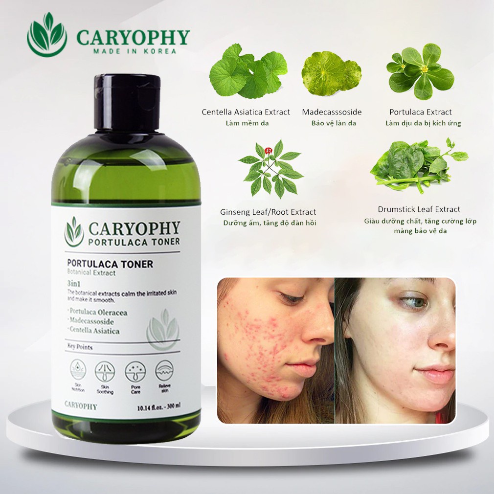 Nước hoa hồng Caryophy Portulaca No Alcohol Toner_ Caryophy Chính Hãng - Miss Xinh