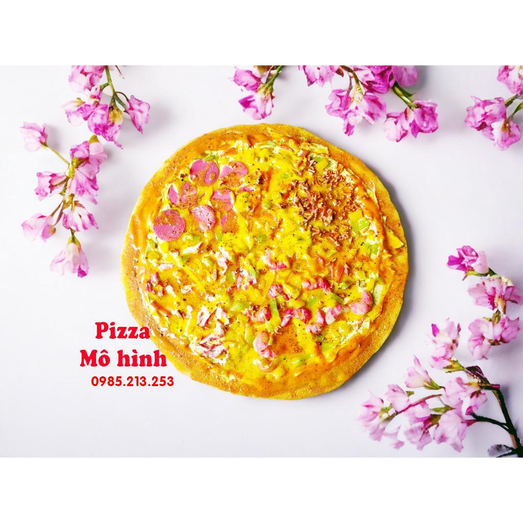 Bánh pizza giả, 25cm, 20cm... pizza mô hình. bánh piza giả.