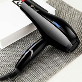 Máy sấy tóc Deliya công suất lớn