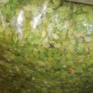 Cốm xanh khô 1kg