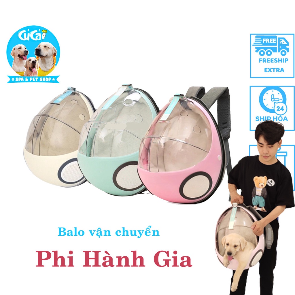 Balo thú cưng hình bọ dừa Ladybug đựng chó mèo - Củ Cải Pet Shop, balo cao cấp giúp vận chuyển chó mèo dễ dàng