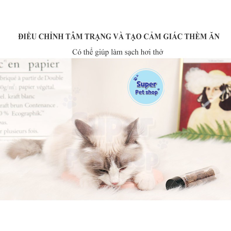 (M25) Catnip Trái cây khô ăn vặt, làm sạch răng cho mèo