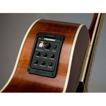 EQ Guitar Fishman 301 Chính Hãng - Nhập khẩu Châu Âu