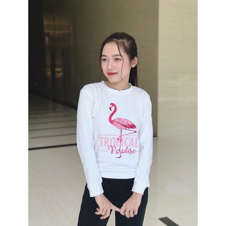 Bộ Nỉ Nữ, Bộ Đồ Nữ, Bộ Đồ Mặc Nhà