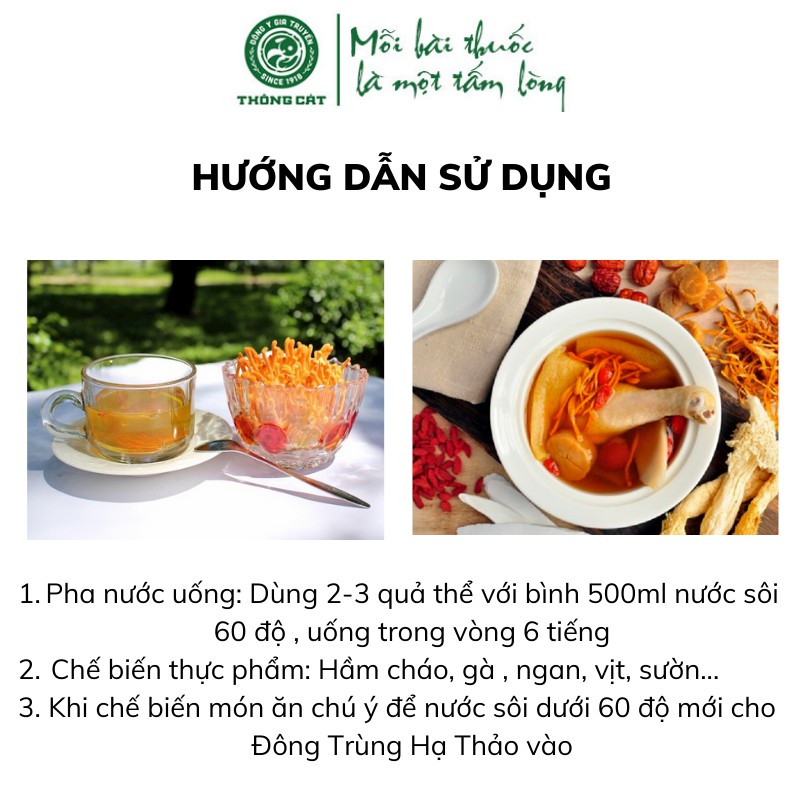 Đông trùng hạ thảo khô nguyên con Đông y gia truyền Thông Cát (Since 1918)_bồi bổ cơ thể, tăng cường sức đề kháng