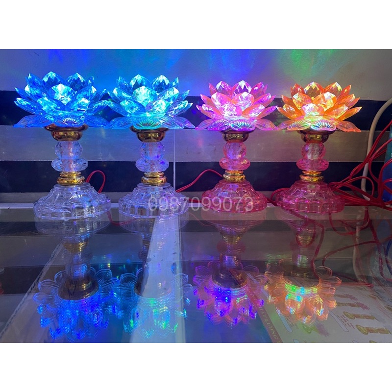 Đèn hoa sen đổi màu