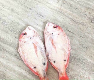 Dép Thịt thà cá mú