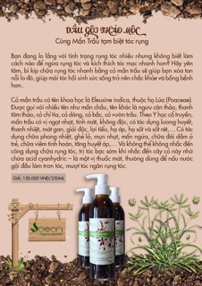 DẦU GỘI THẢO MỘC SÓC CON