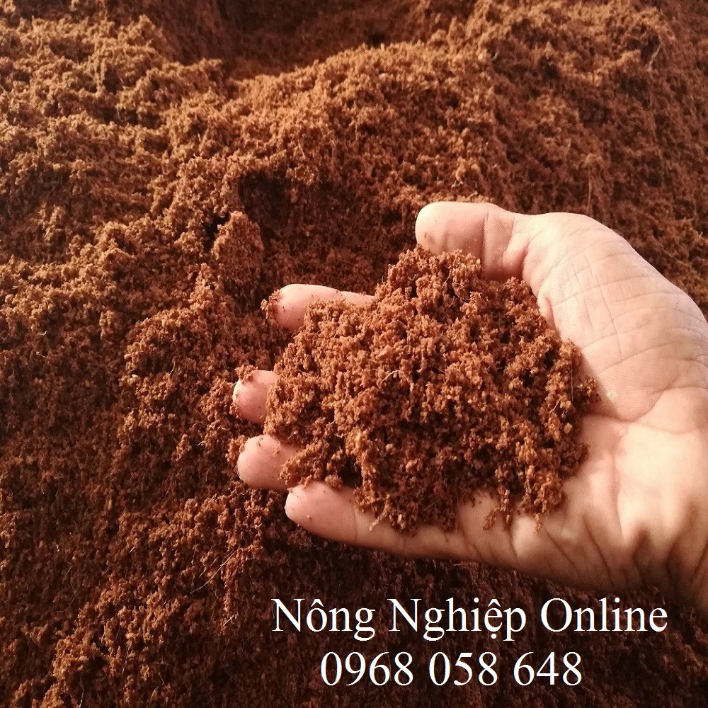 Mụn Xơ dừa xử lý (1kg)