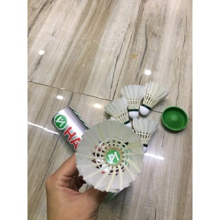 Ống Cầu Lông Hải Yến