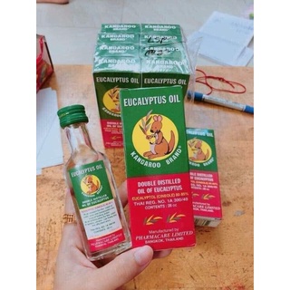 Dầu khuynh diệp KANGAROO Thái lan