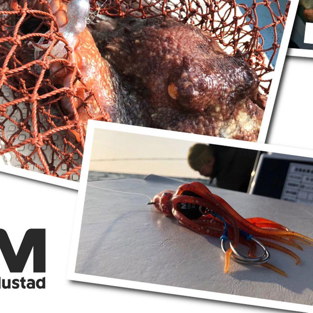 JONYE Mồi Câu Cá Giả Hình Bạch Tuộc Đuôi Dài Chất Lượng Cao