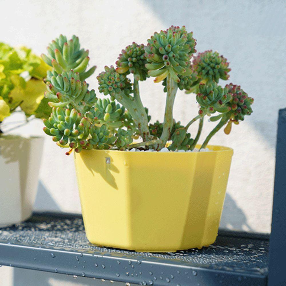 Chậu Trồng Cây 24 Ngăn Có Lỗ Thoát Nước Và Dây Xích Treo Trang Trí Nhà Cửa / Sân Vườn