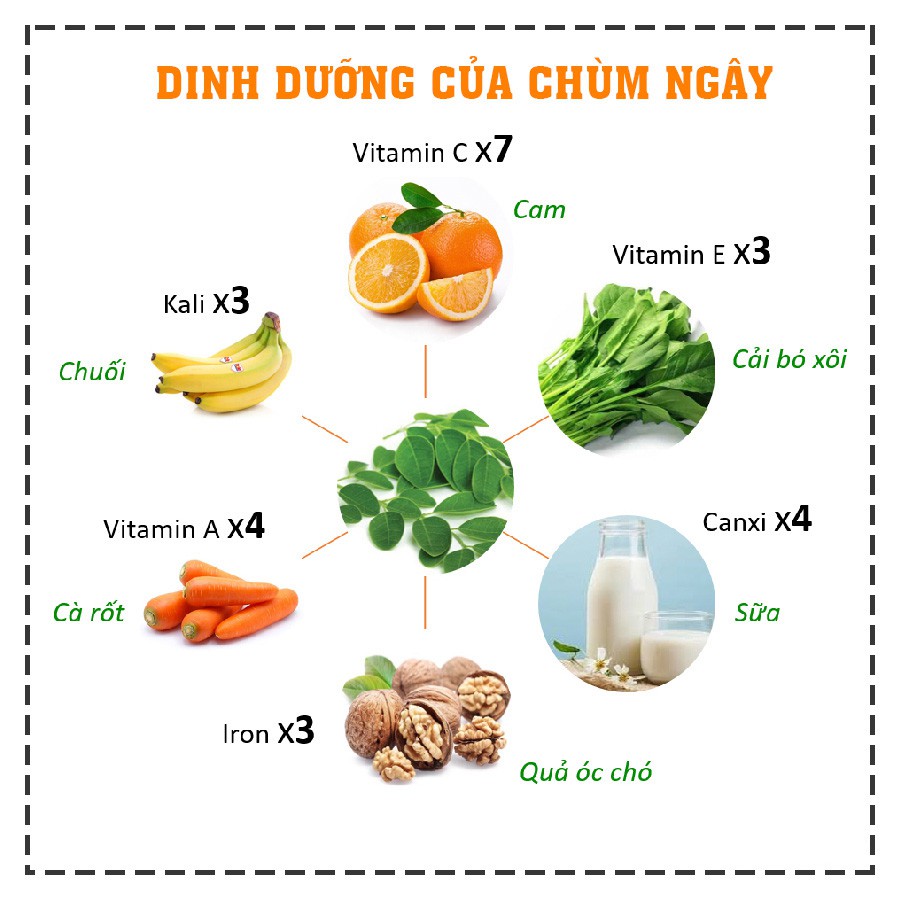 Bột Chùm Ngây Nguyên Chất Dalahouse 50g - Bột ăn dặm cho bé