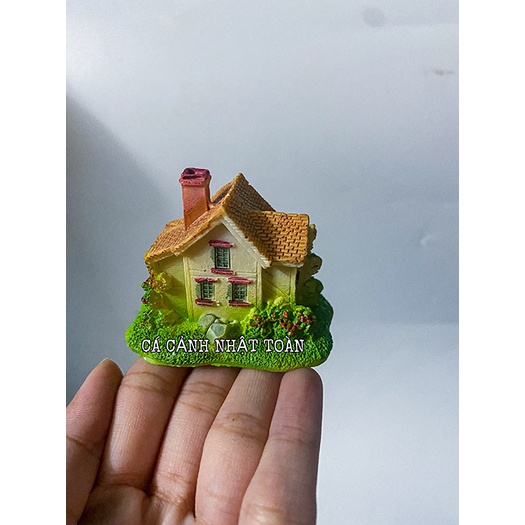CẢNH NHÀ TRANG TRÍ HỒ CÁ NON BỘ 6X4X5CM MẪU KHÁC