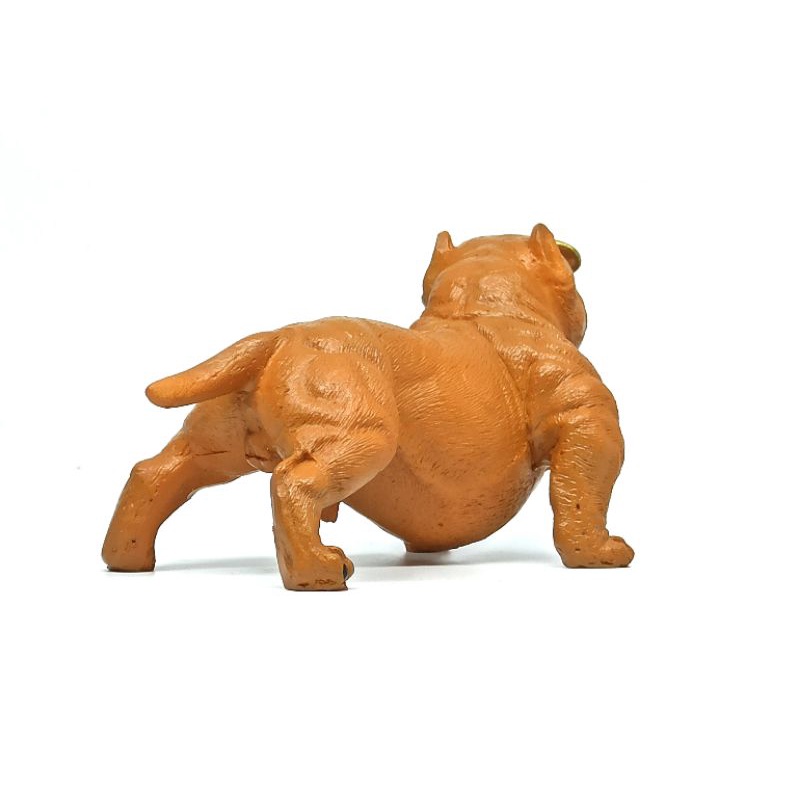 Chó Bull đặt tablo