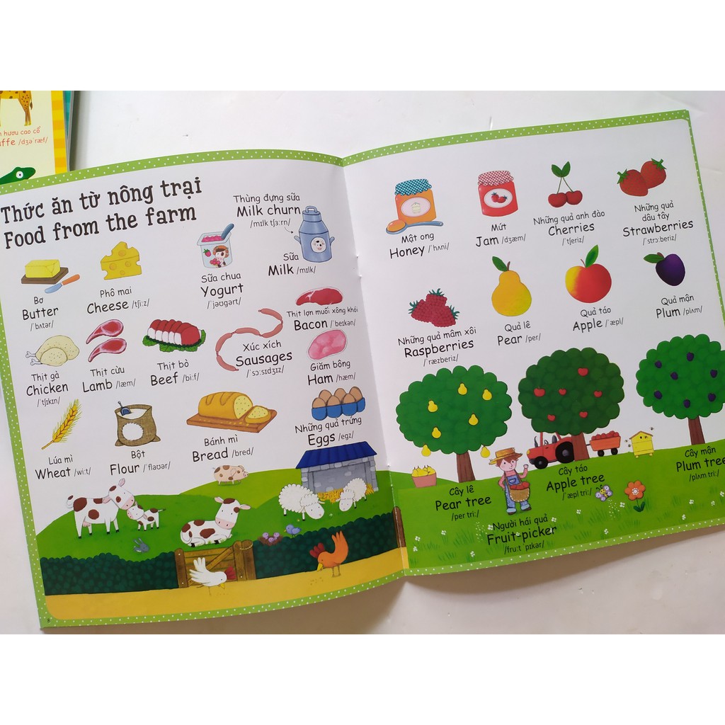 Sách Song Ngữ - My First Word Book - Cuốn Sách Từ Vựng Đầu Tiên Của Tôi - Chọn Lẻ