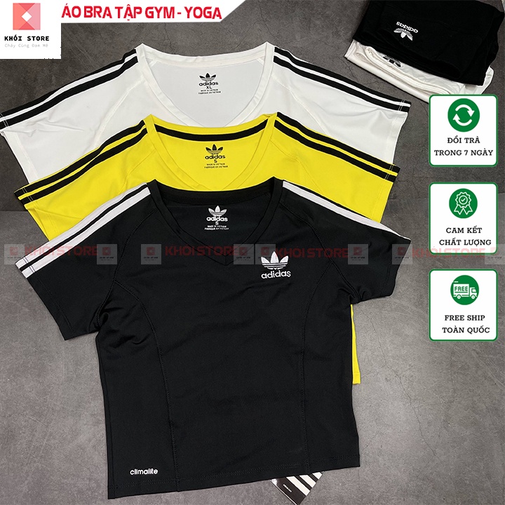 áo phông có tay thể thao nữ